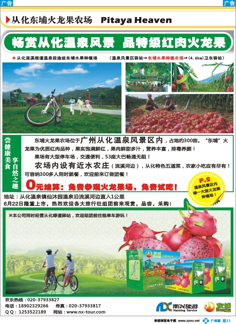 彩b011 从化东埔火龙果农场