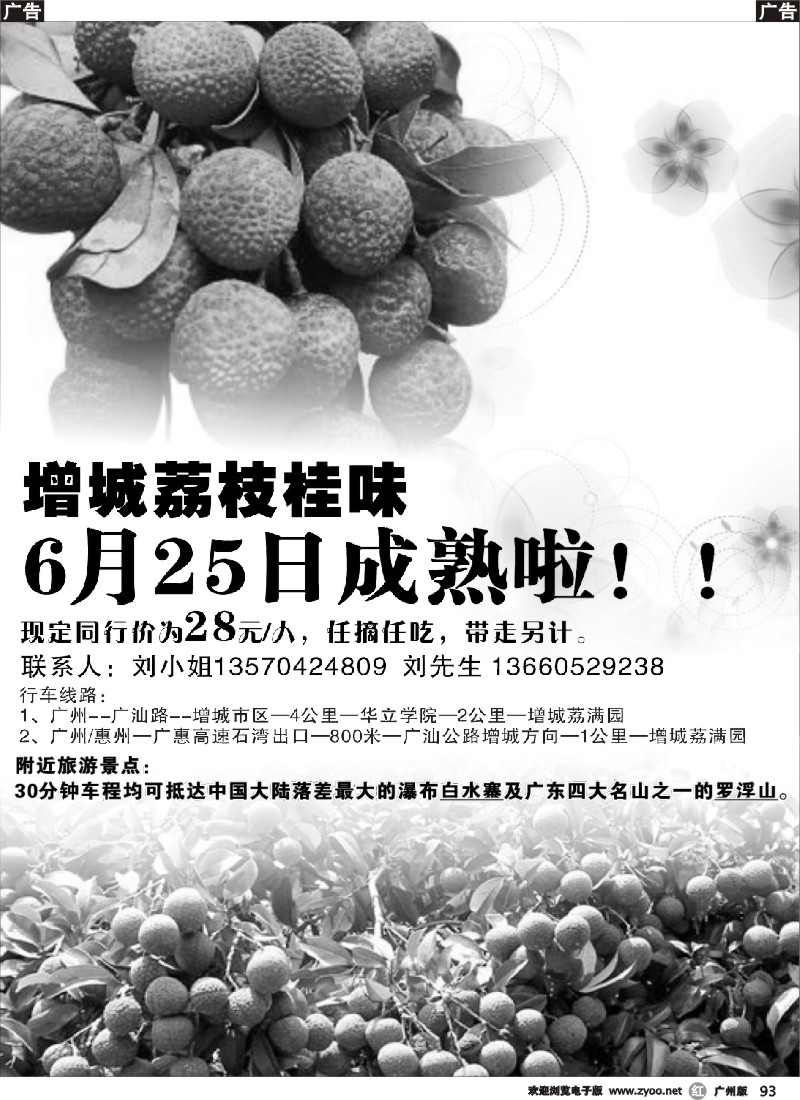 r093 增城荔枝园