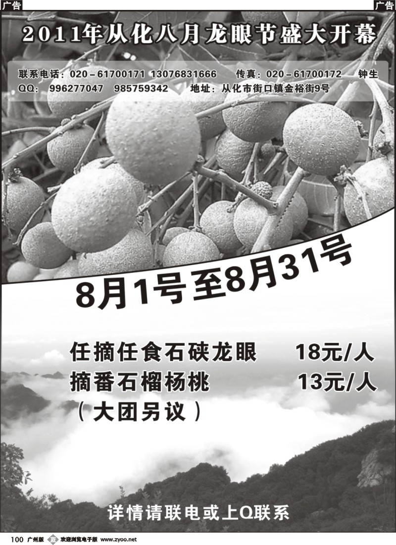 b100 从化订票--从化龙眼节
