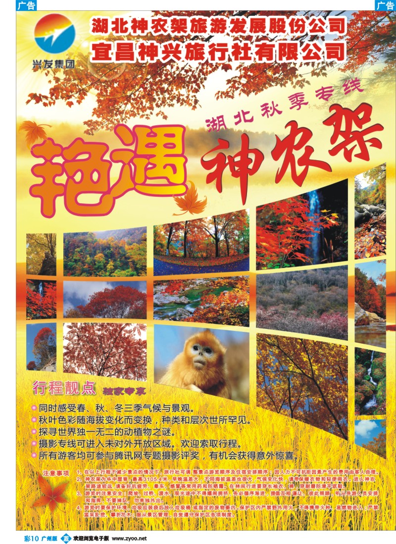 彩b010 兴发集团-宜昌神兴旅行社1