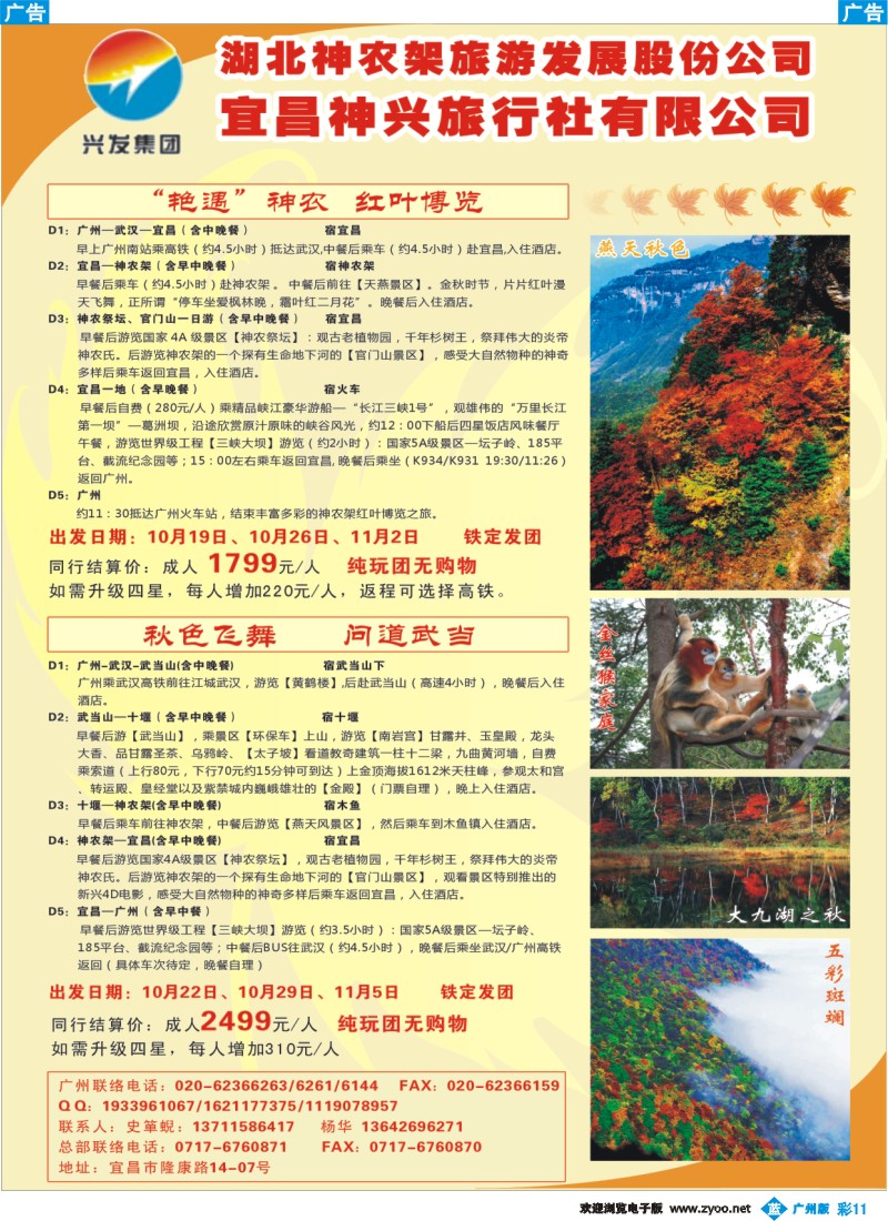 彩b011 兴发集团-宜昌神兴旅行社2