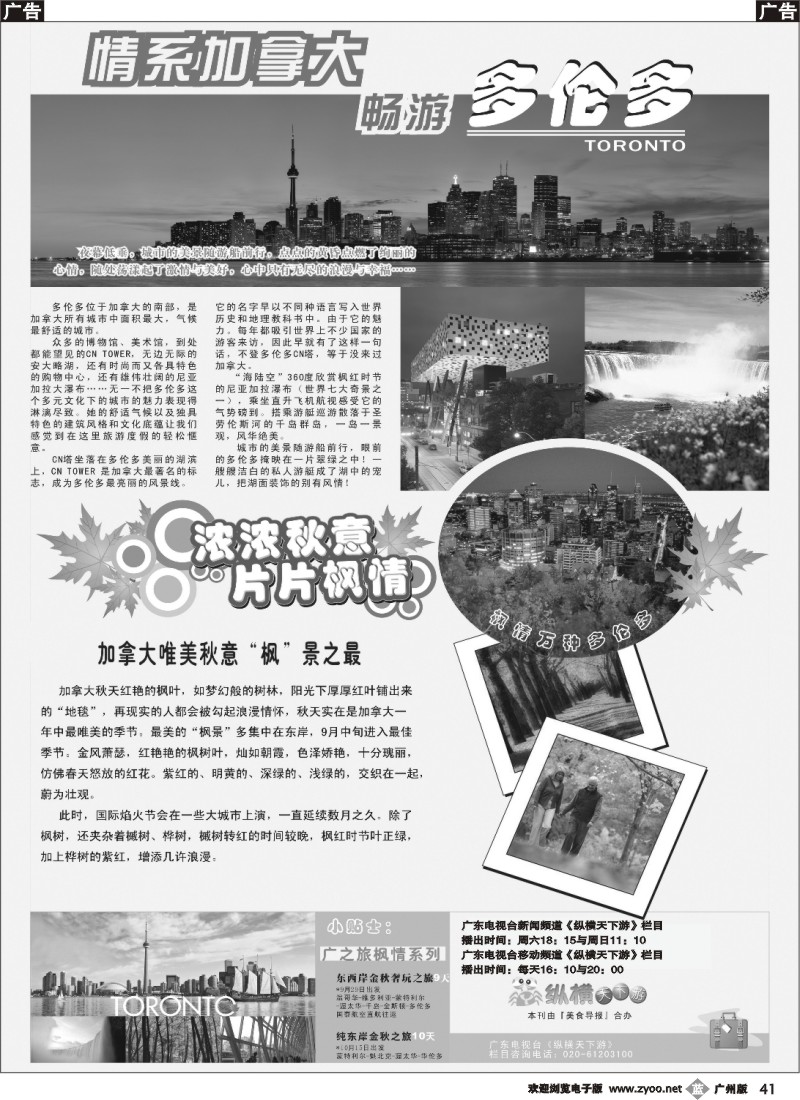 b041 多伦多——片片枫情
