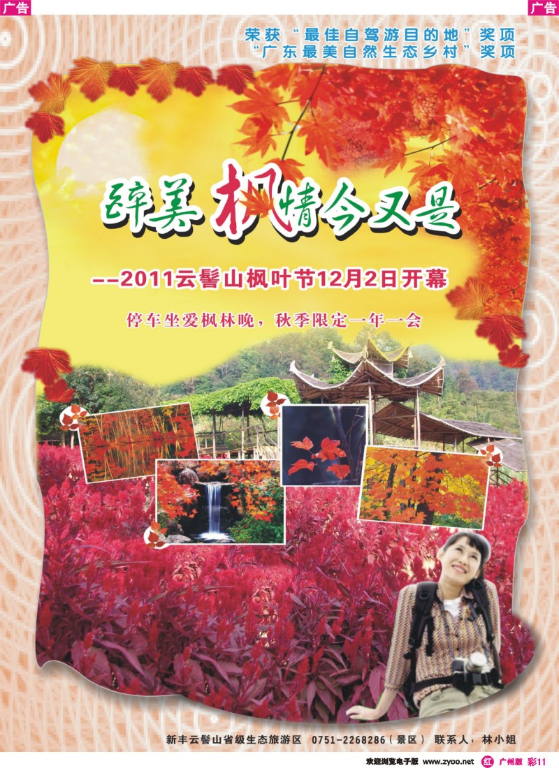 彩r011 云髻山枫叶节