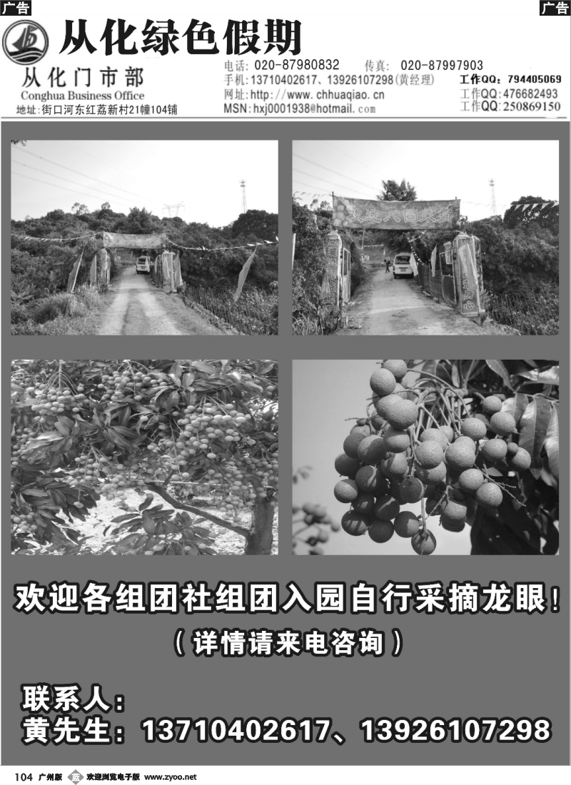 b104 从化绿色假期——龙眼专线