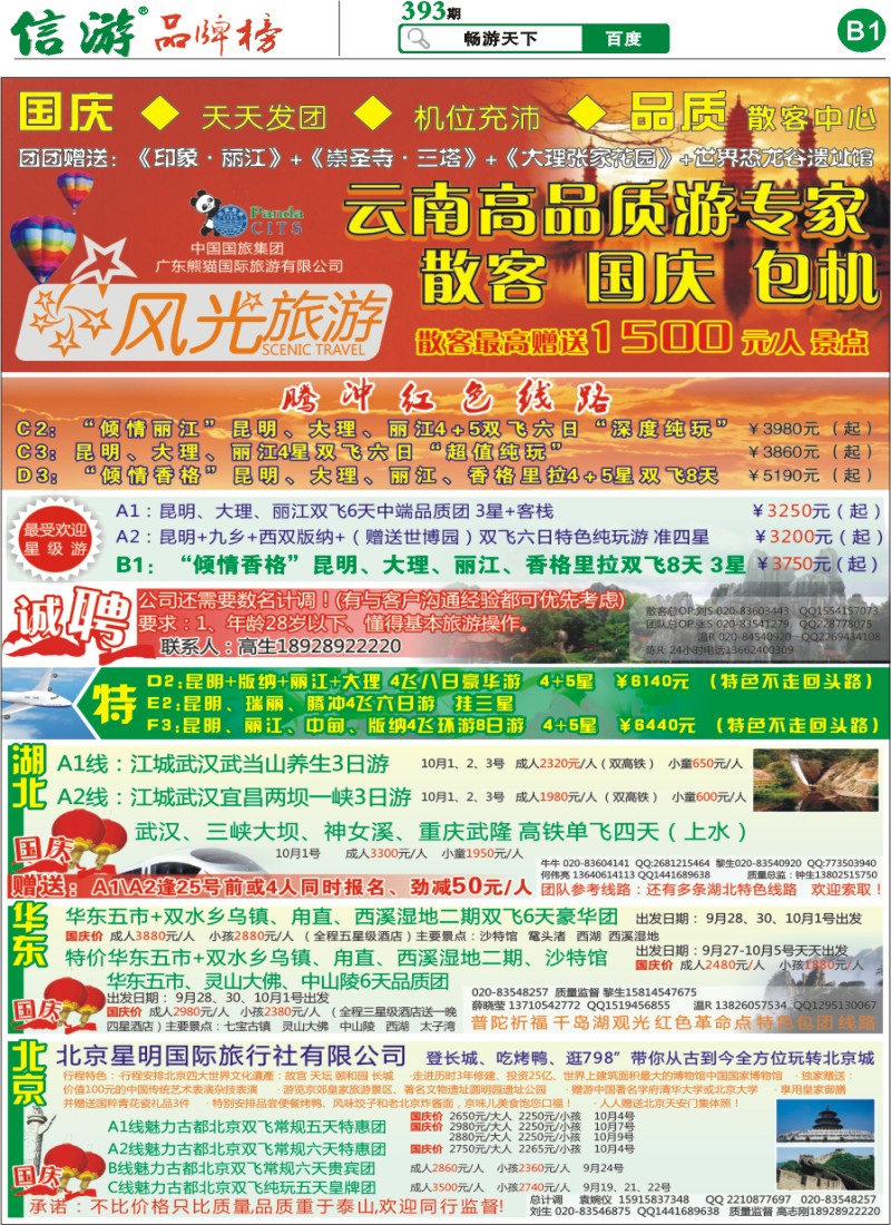 393期报刊 (B1)