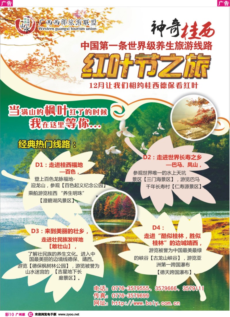 彩r010 桂西德保红枫节 欢迎你的到来！