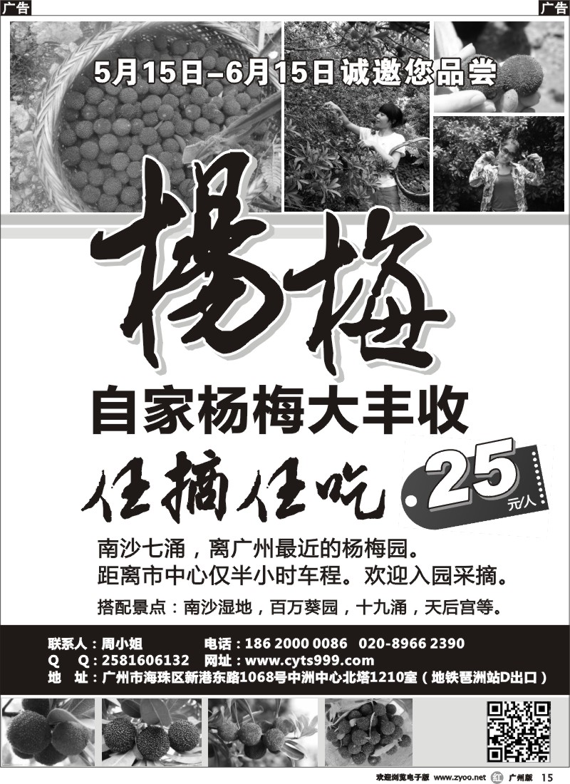 r015 自家杨梅大丰收，25元任摘任吃