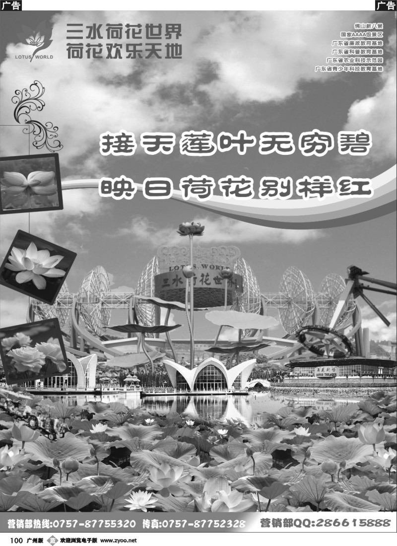 b100 佛山三水荷花世界