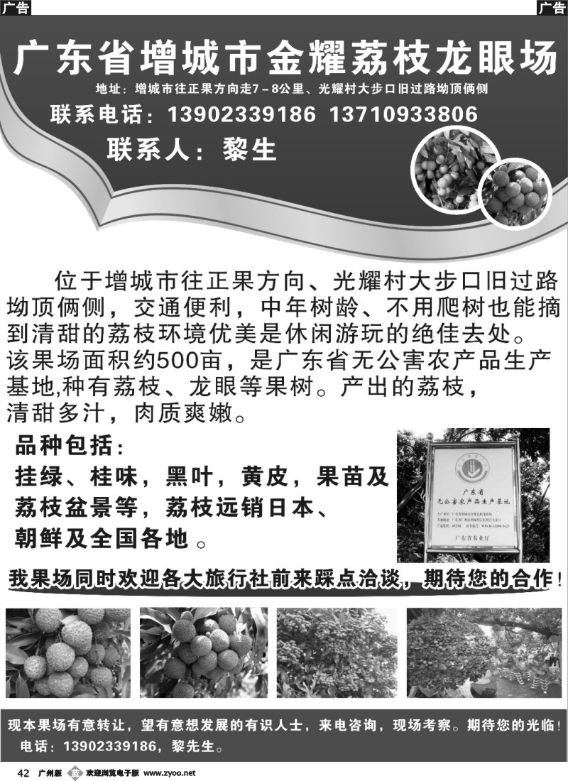 b042 金耀荔枝龙眼场简介