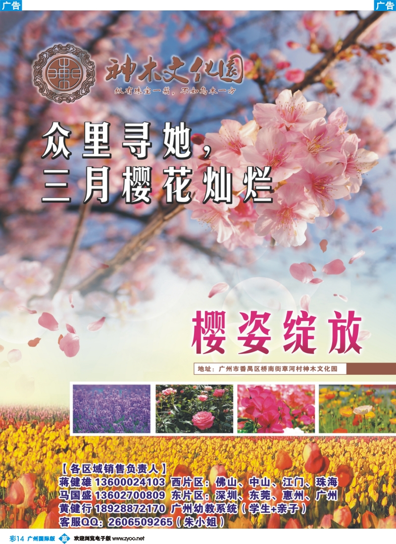 彩b014 万木神奇，百花齐放-神木文化园