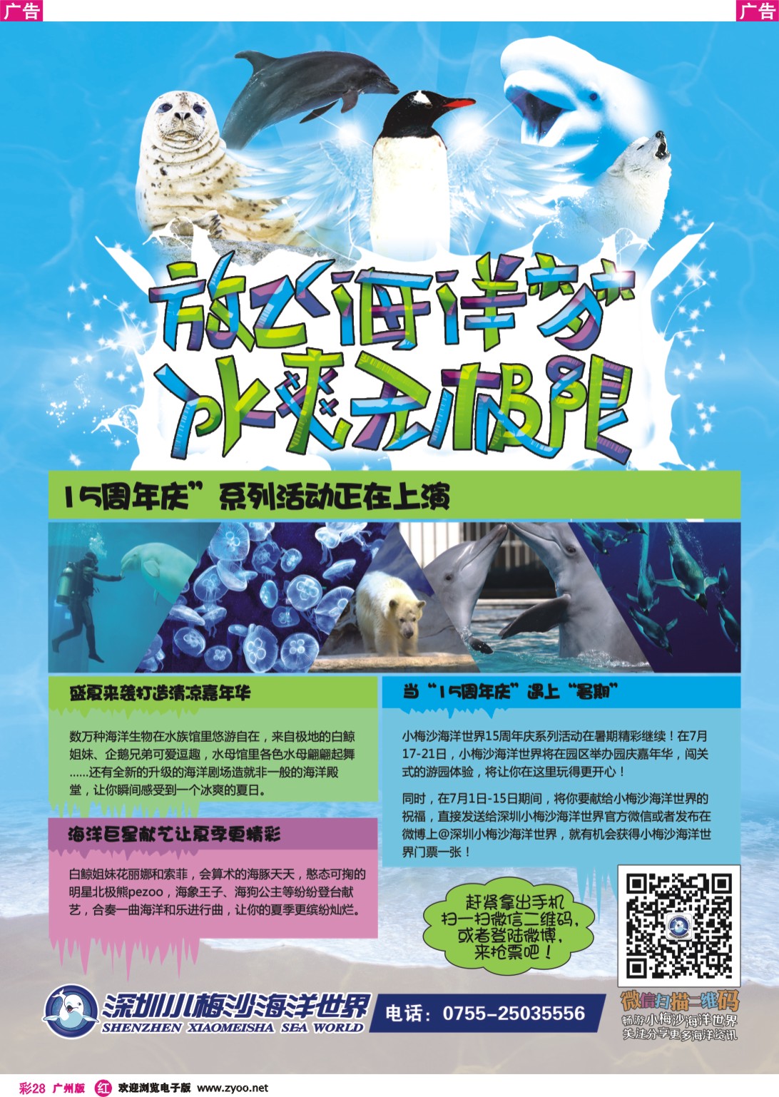 彩r028 深圳市小梅沙海洋世界
