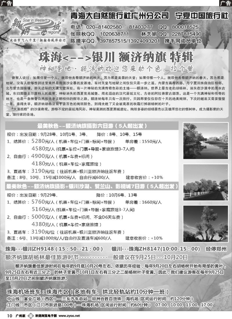 b010 翱翔西域