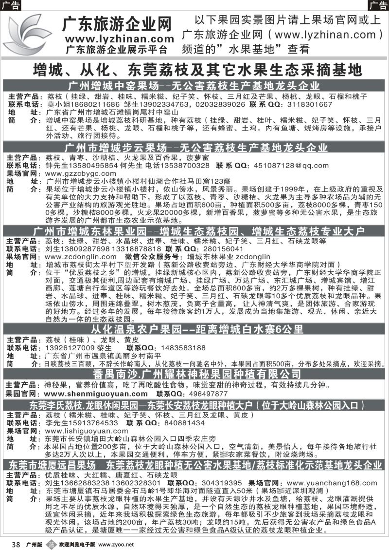 b038 增城、从化、东莞荔枝采摘龙头企业