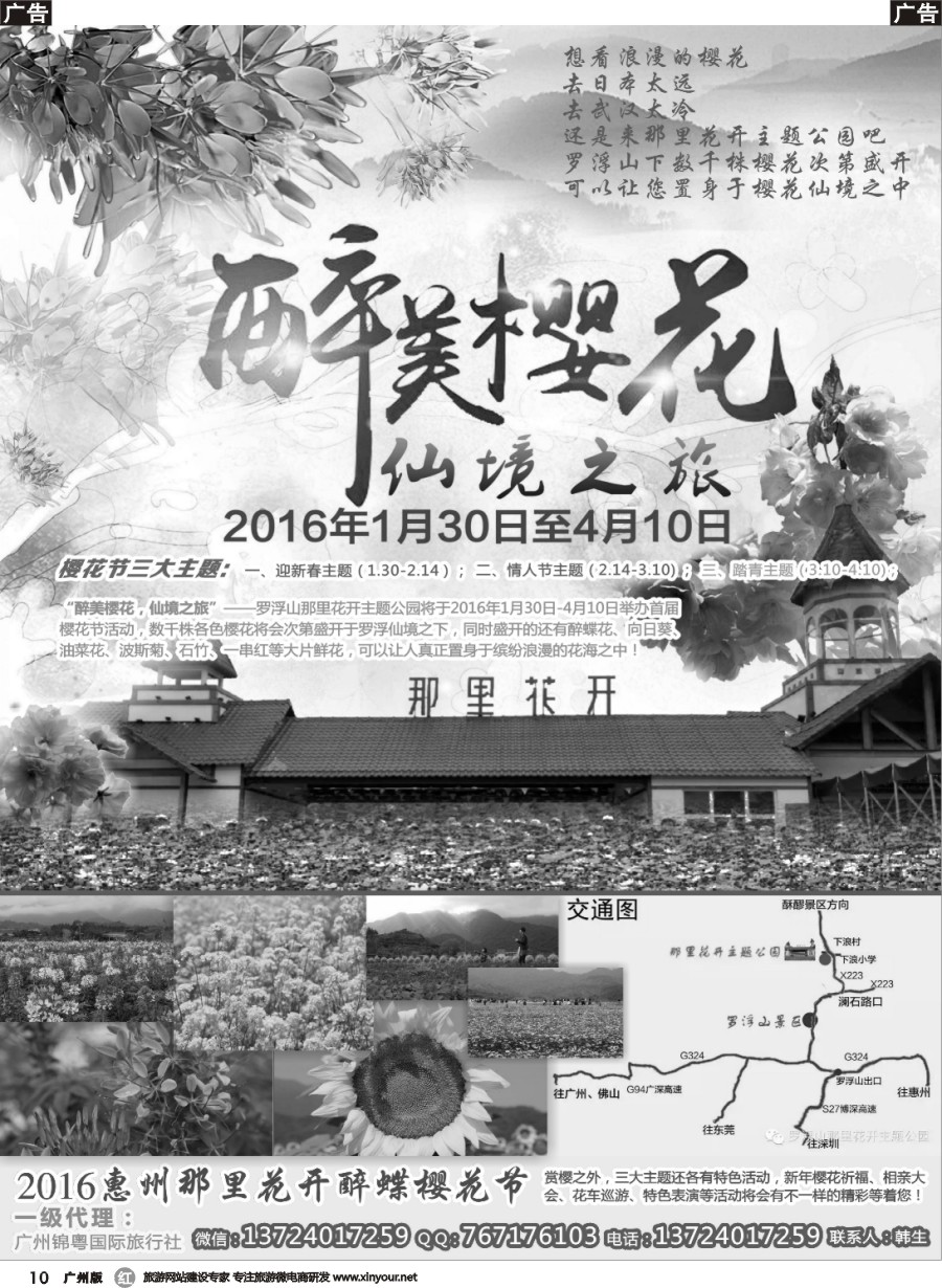 r010 醉美樱花-2016惠州那里花开醉蝶樱花节