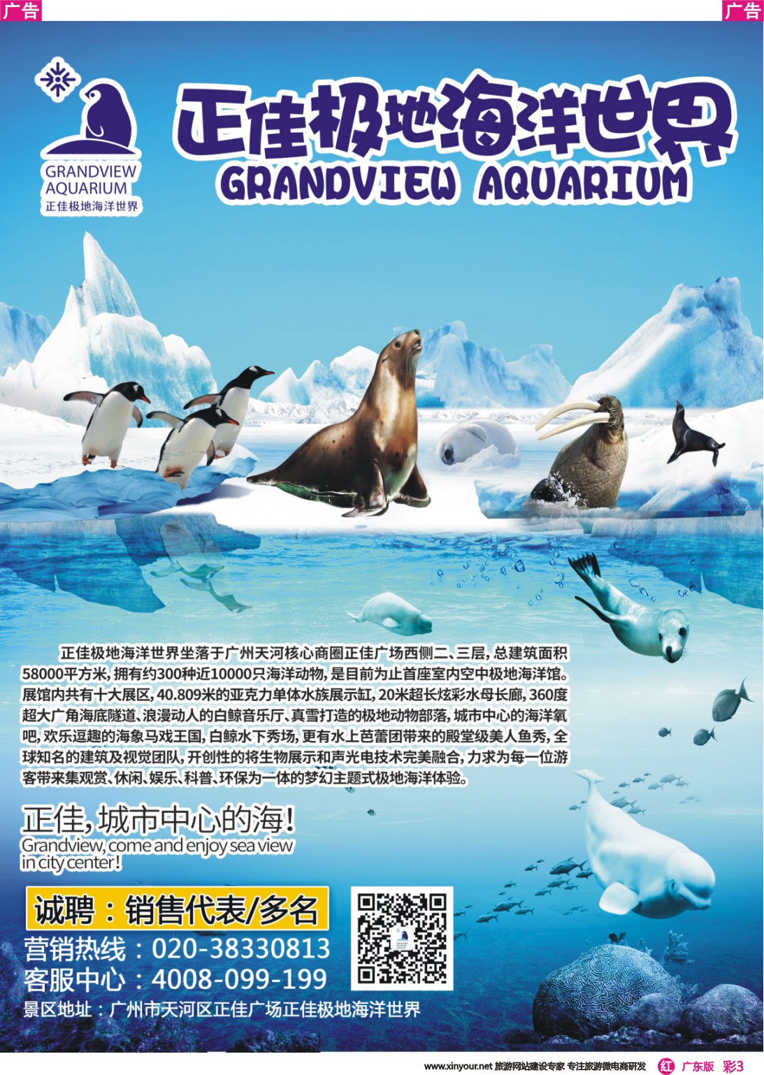 彩r003 城市中心的海-正佳极地海洋世界
