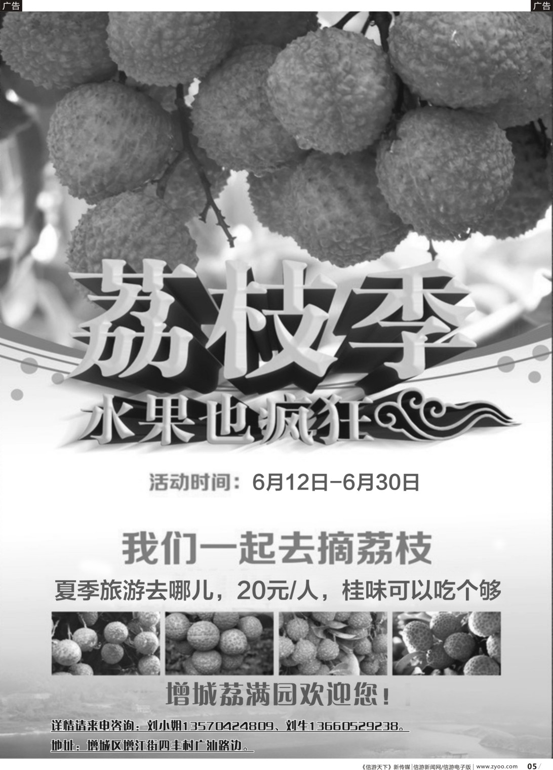 r005 增城摘荔枝--荔满园欢迎您