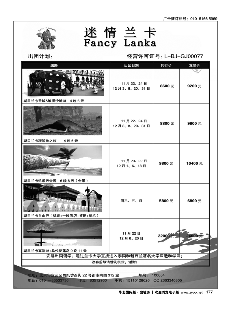 177情迷兰卡