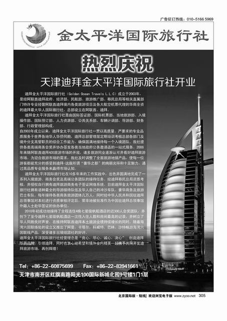 305天津迪拜金太平洋开业