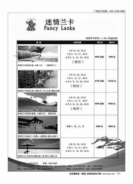 111迷情兰卡