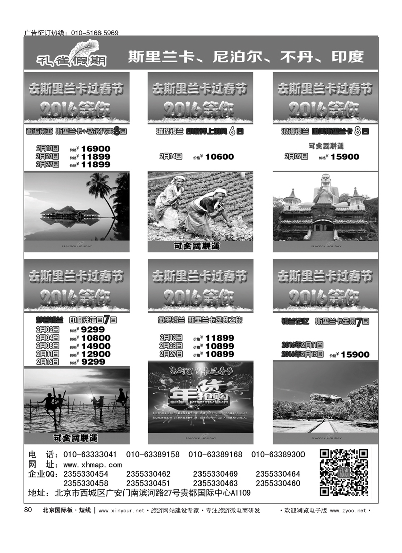 80孔雀假期-南亚
