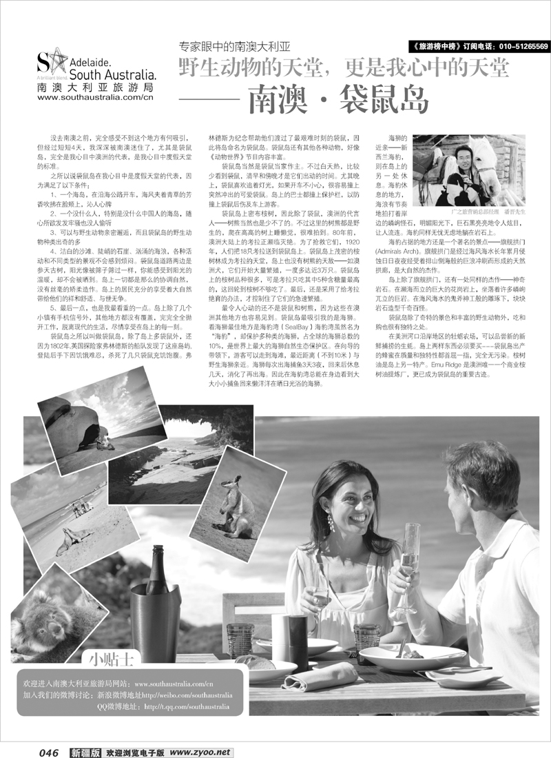 榜中榜46