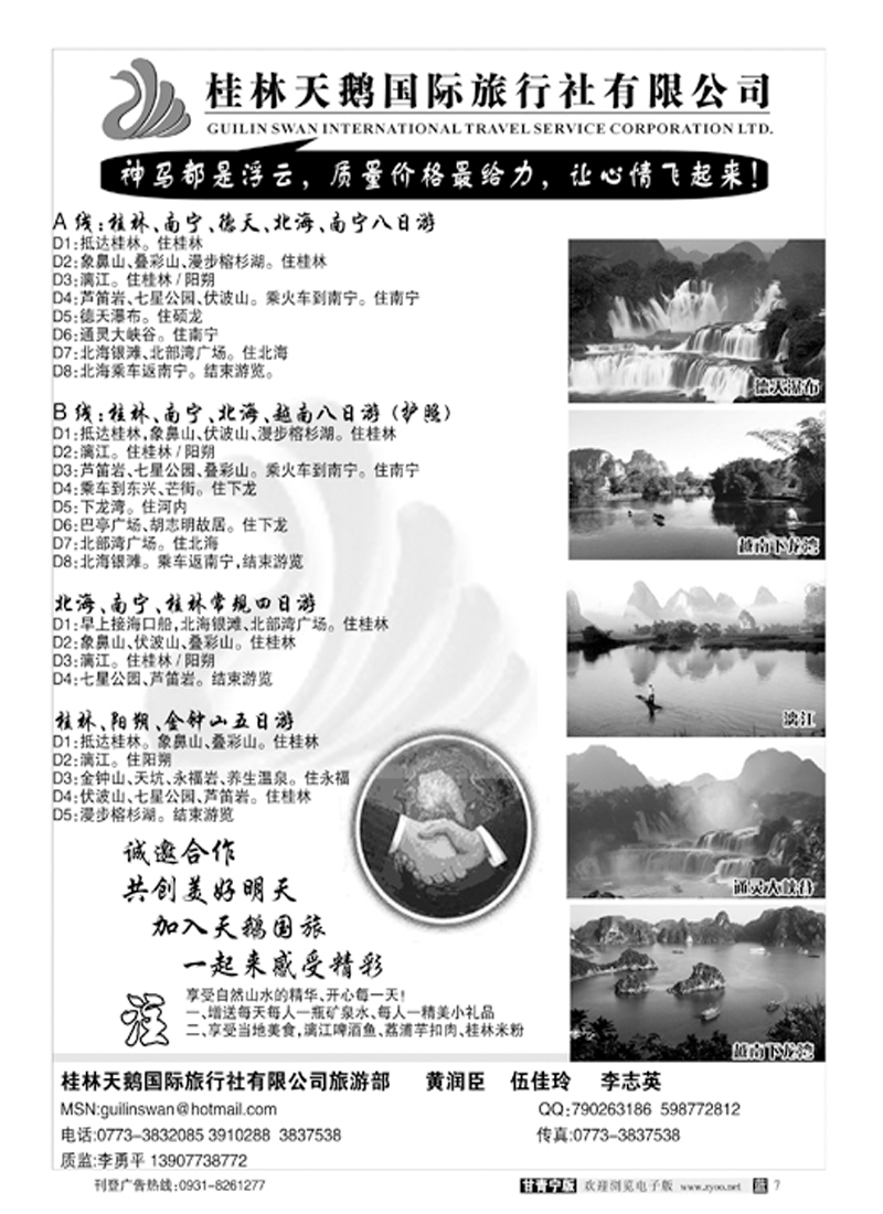 桂林天鹅