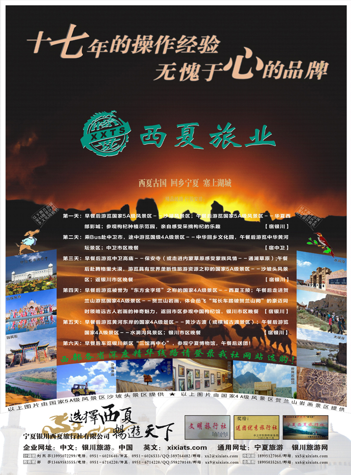 宁夏银川西夏有限公司