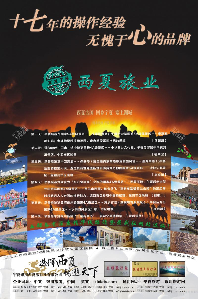 宁夏银川西夏有限公司