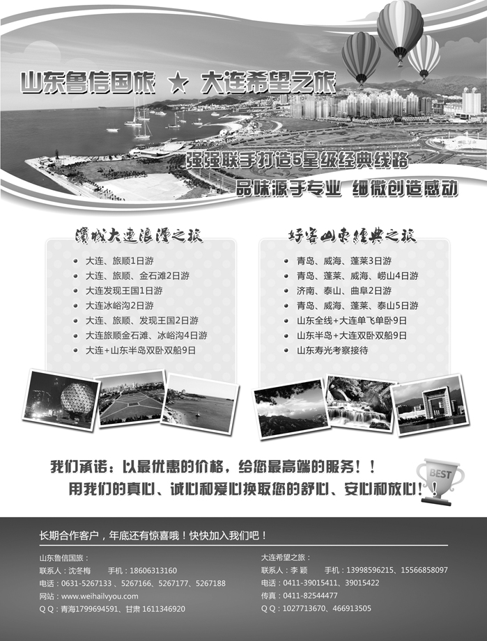 I蓝黑33  鲁信国旅