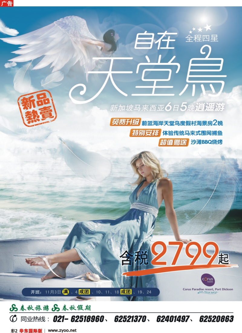 h彩2 春秋假期·新品热卖——“自在天堂鸟”