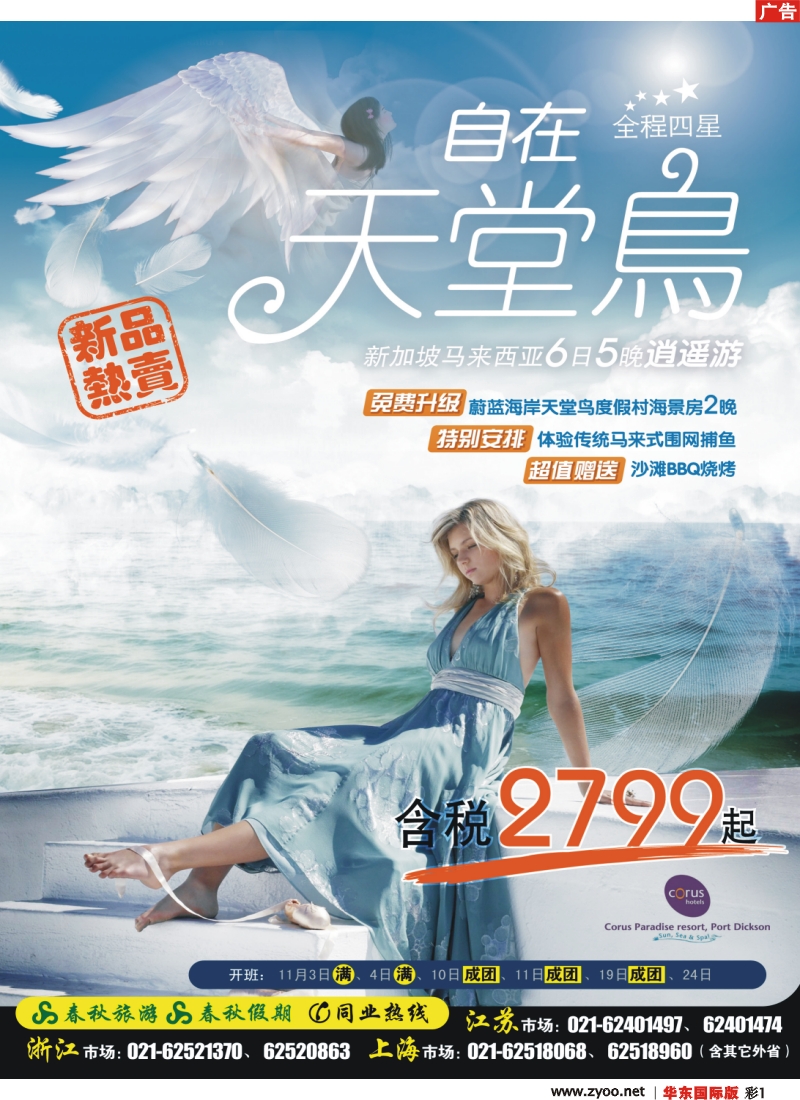 h彩1 春秋假期·新品热卖——“自在天堂鸟”