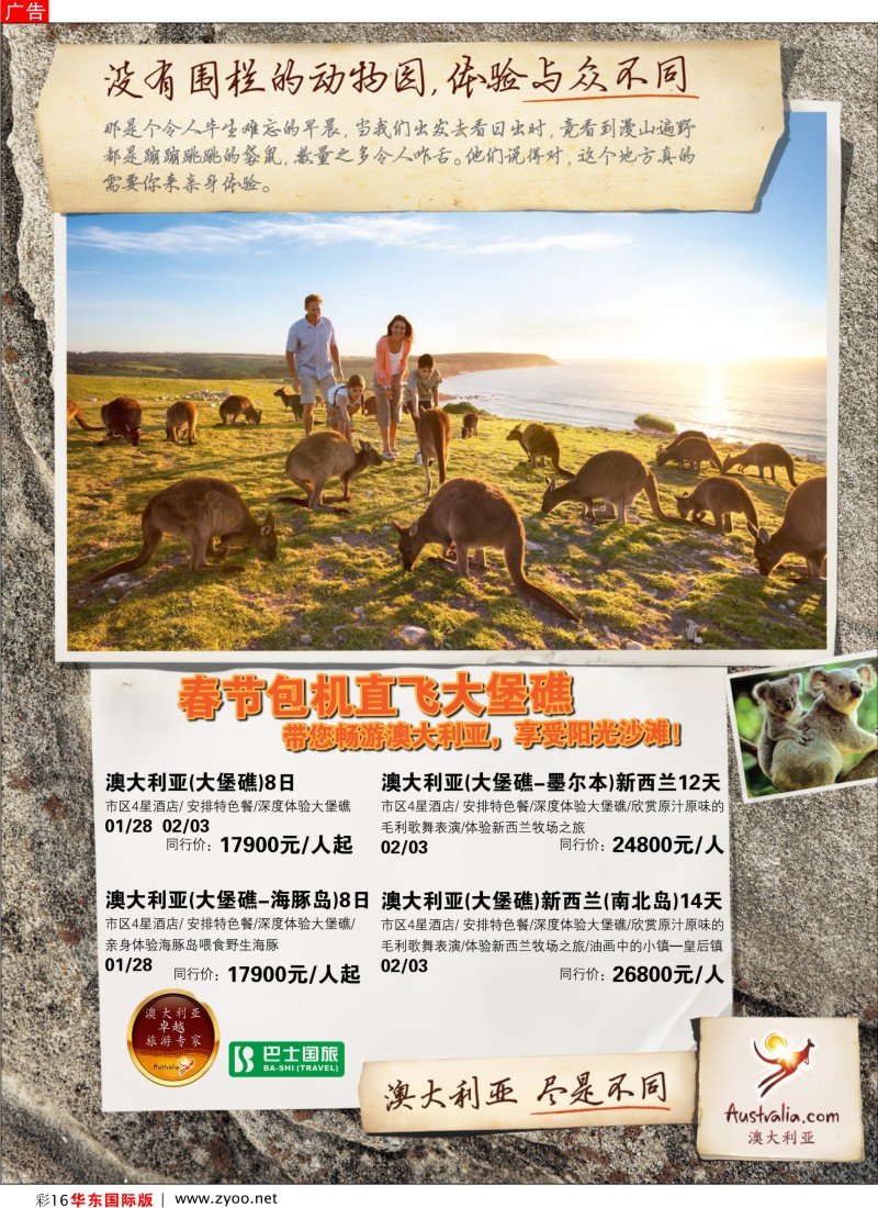 h彩16 巴士国旅