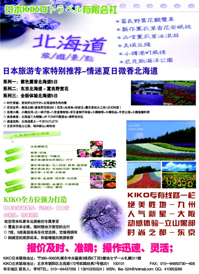 b彩31 日本KIKOトラベル有限会社