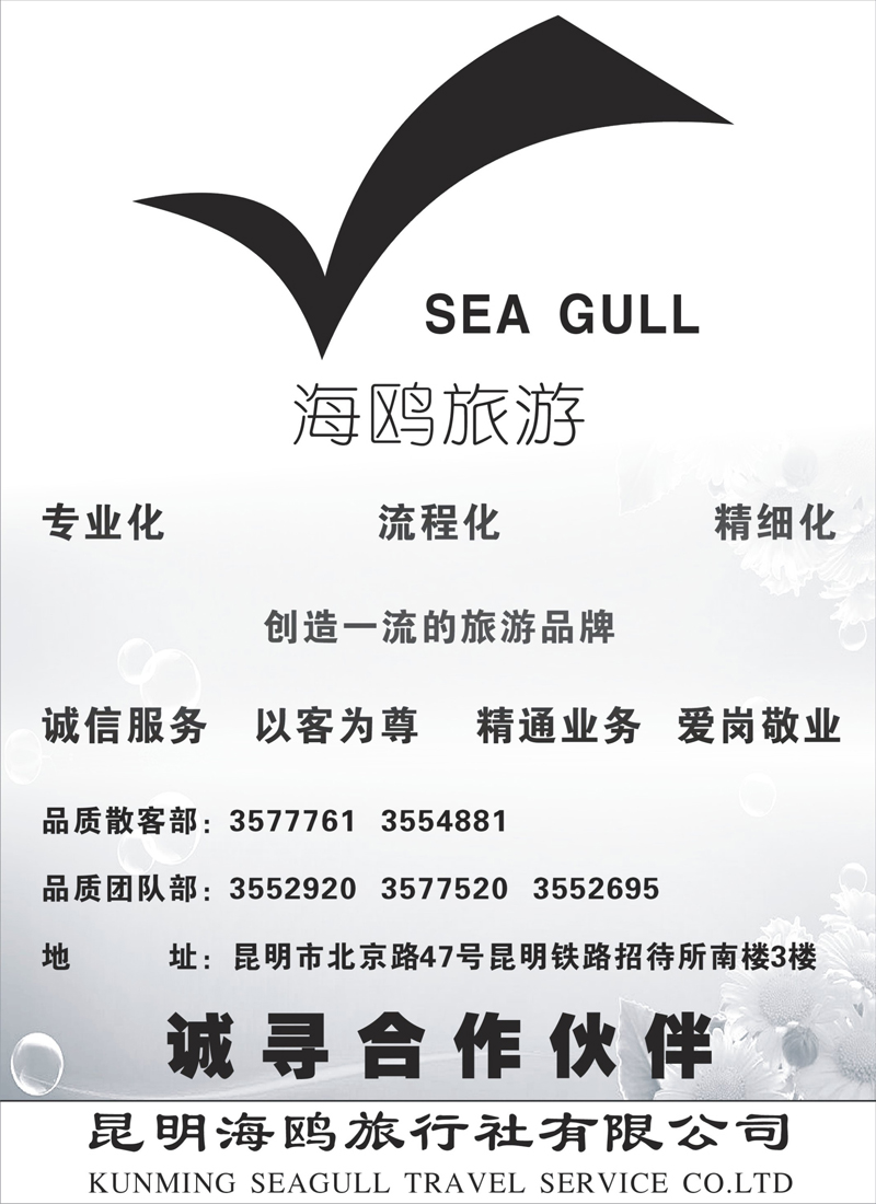 37海鸥旅行社有限公司形象大使