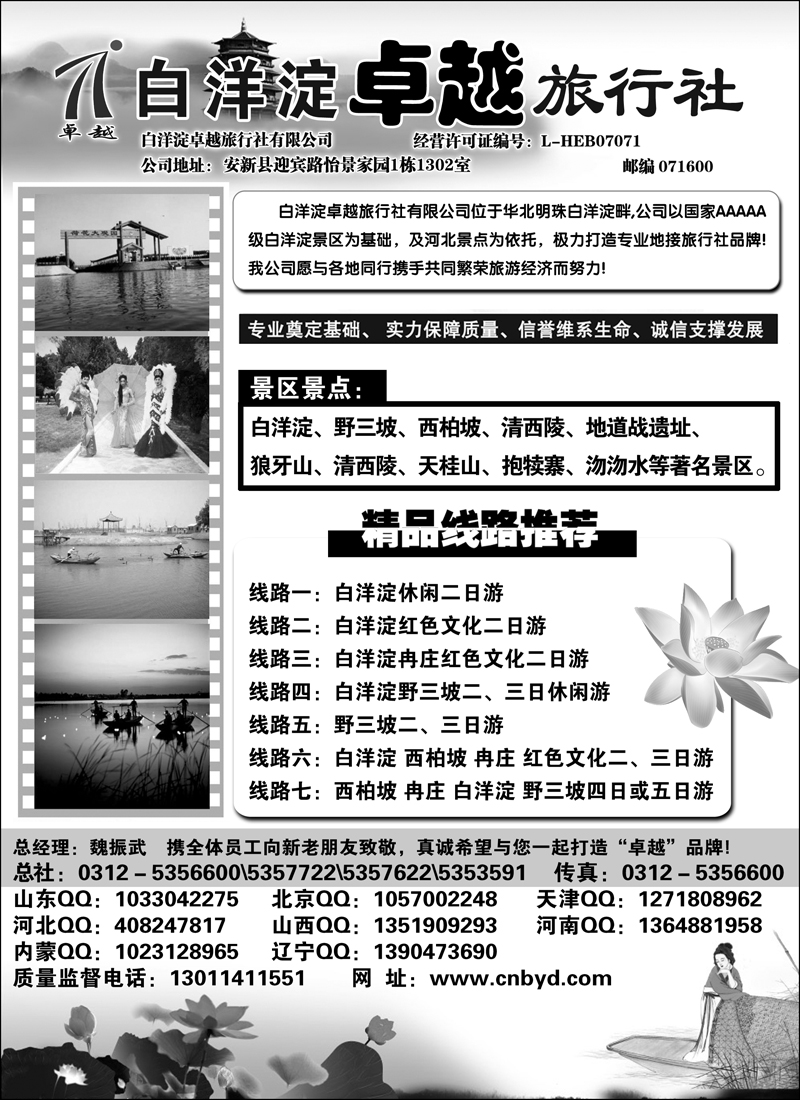 红版２２白洋淀卓越