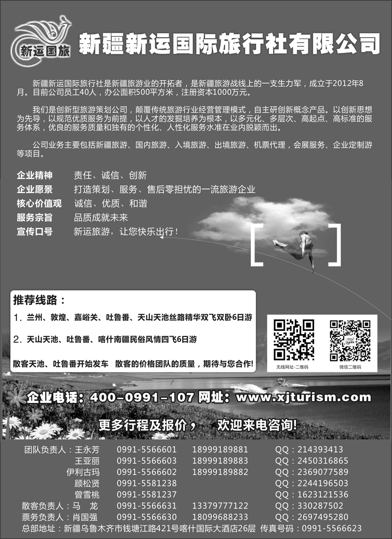 蓝黑15新疆新运国际旅行社有限公司(其他版)