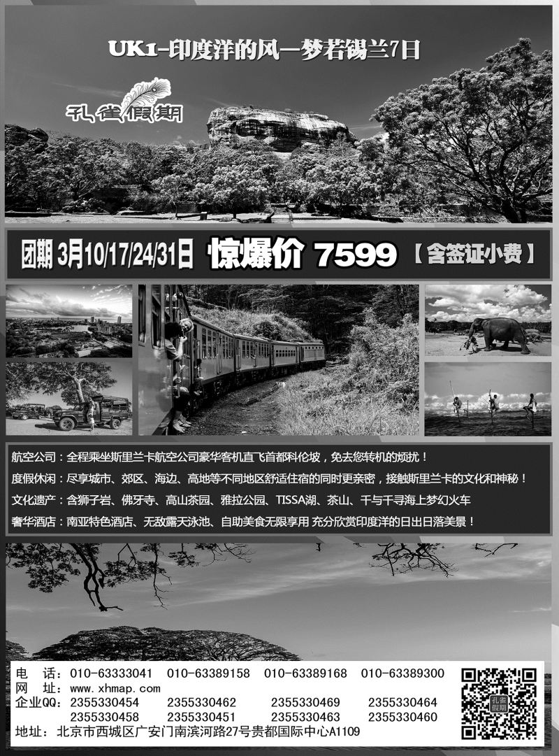 P11--孔雀假期免费