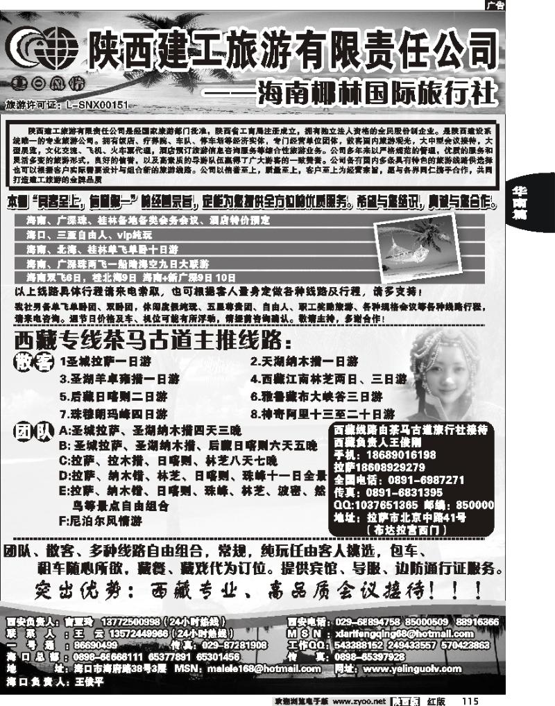 海南椰林