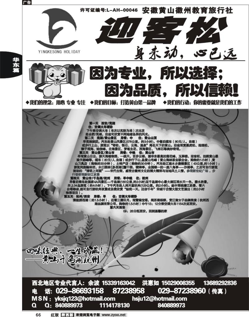 迎客松假期1