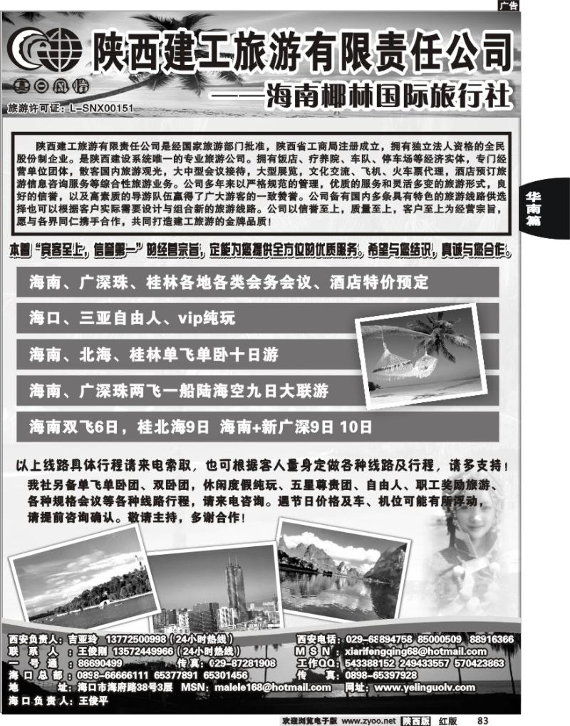 海南椰林