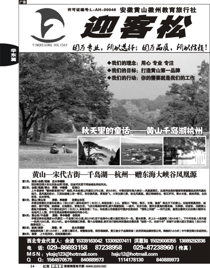 迎客松假期1