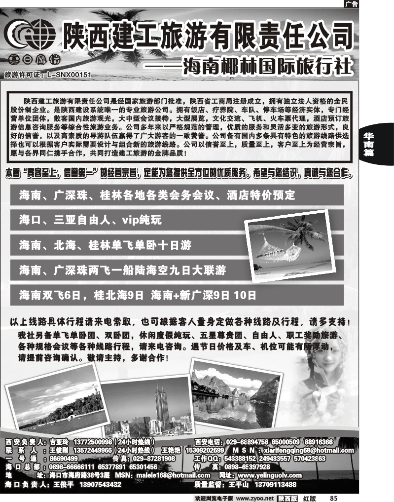 海南椰林
