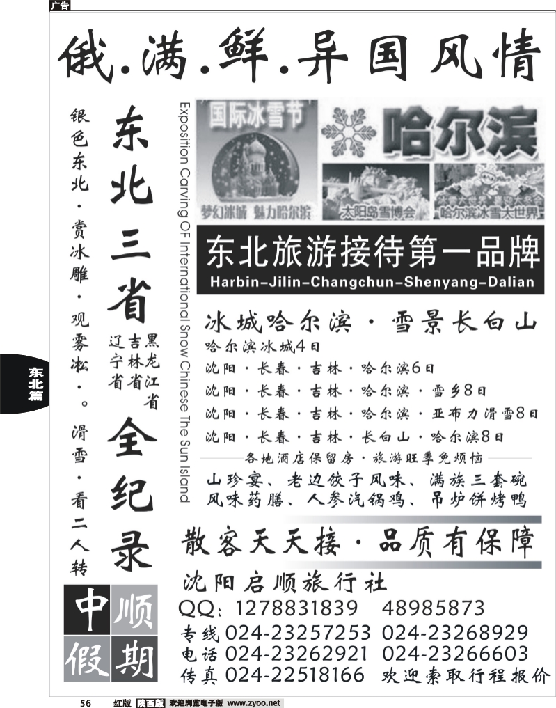 东北天天游