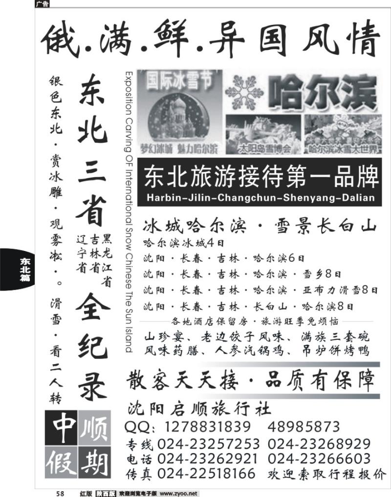 东北天天游