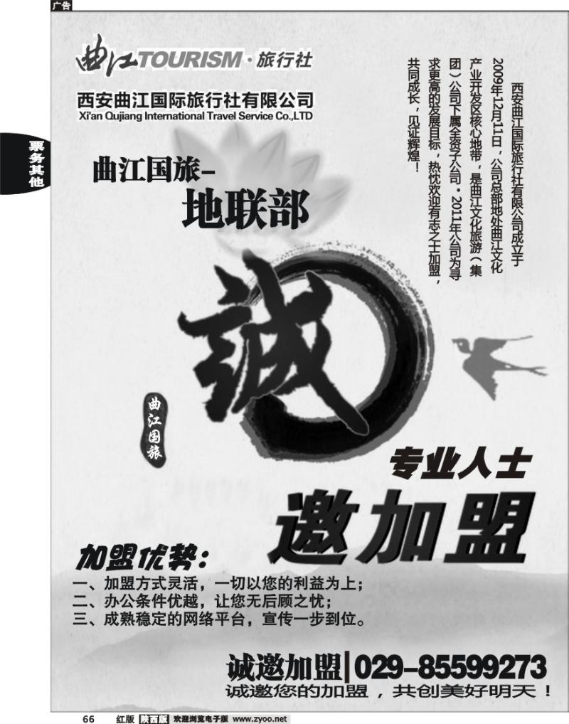 曲江国旅招聘