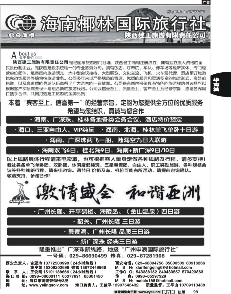海南椰林