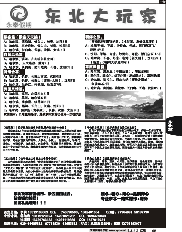 东北大玩家