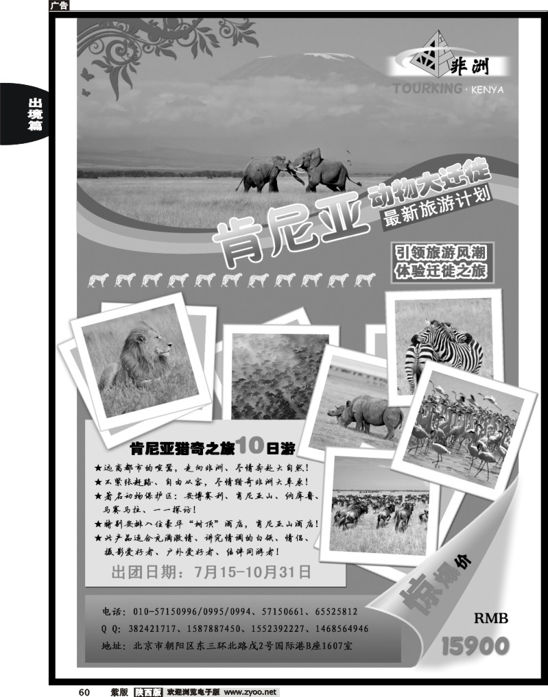 金非洲肯尼亚地接社