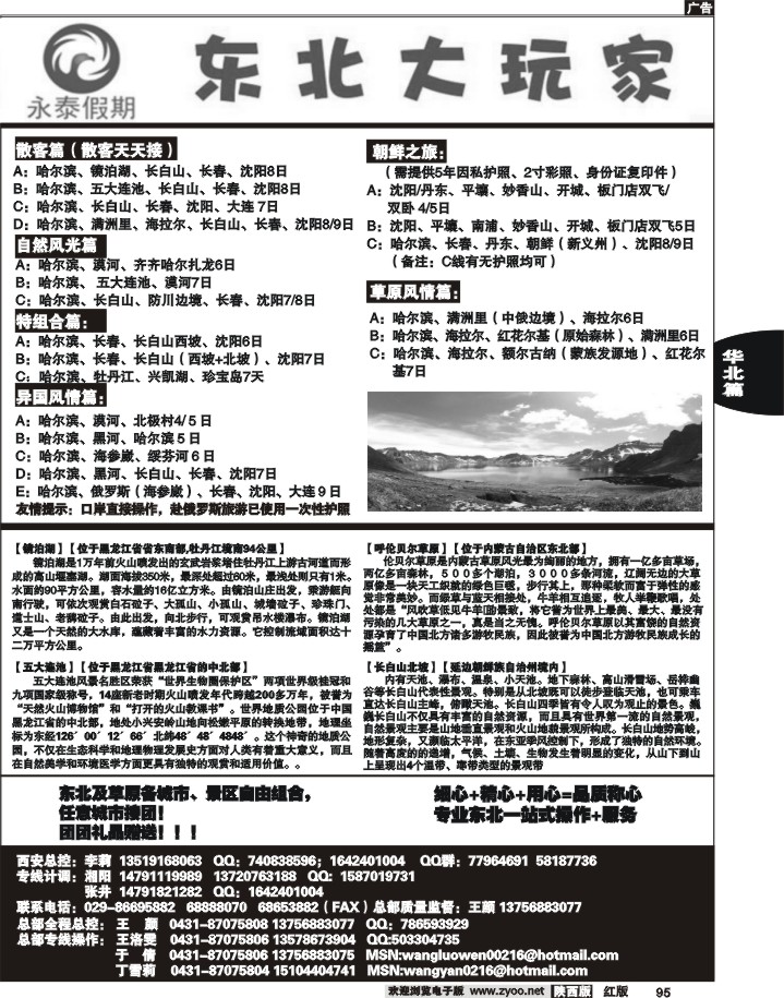 东北大玩家