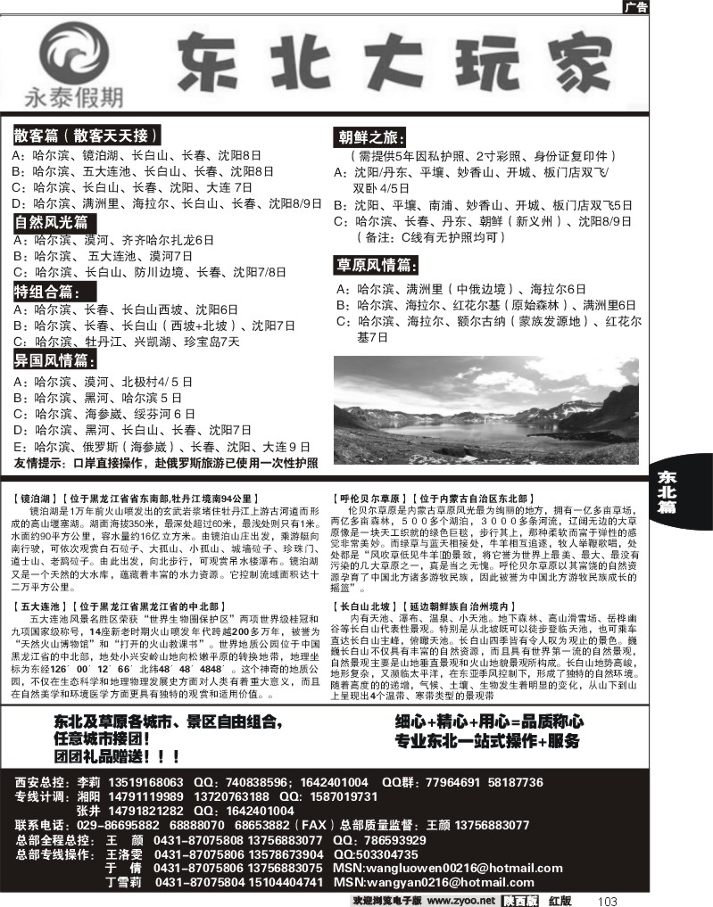 东北大玩家